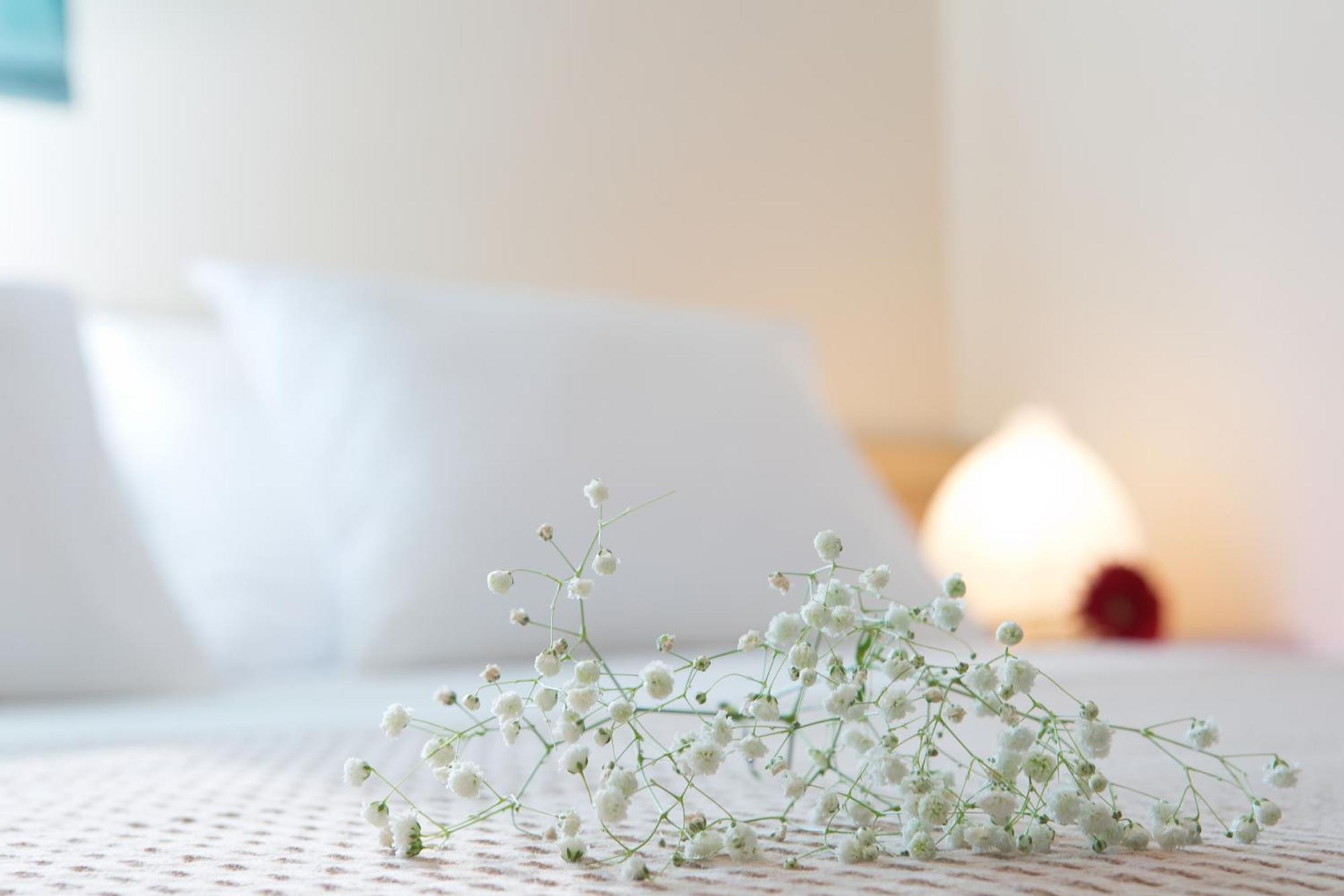 Villa Anthemis Luxury *
