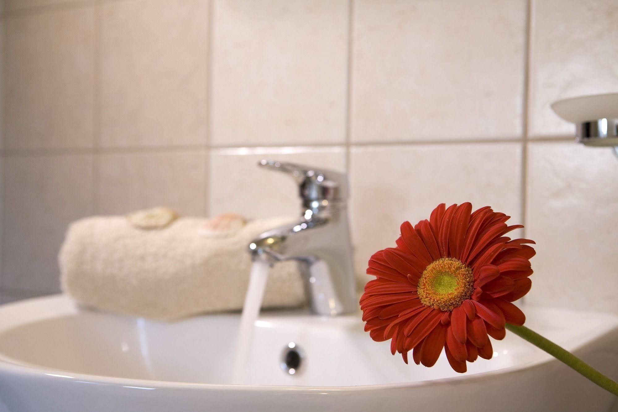 Anthemis Luxury Kariotai